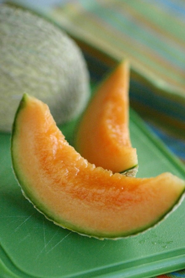 Cantaloupe