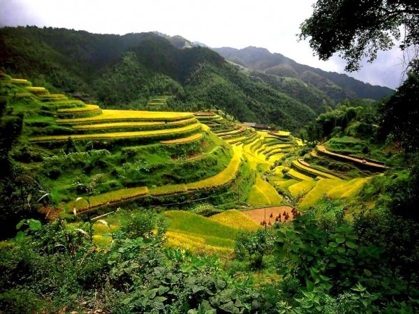 Baguio/Sagada