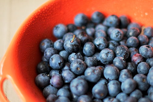 Blueberries