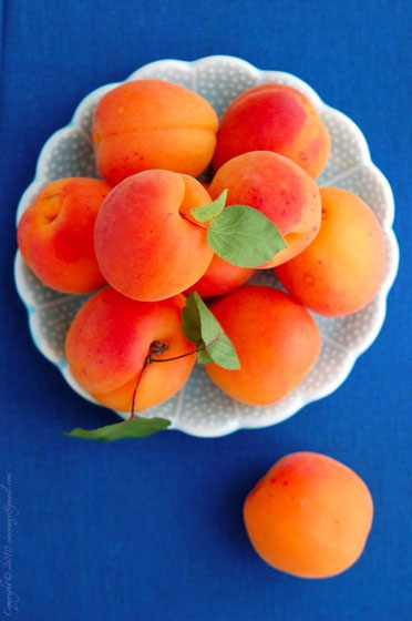 Apricot