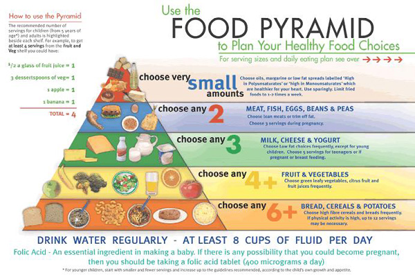 Food Pyramid