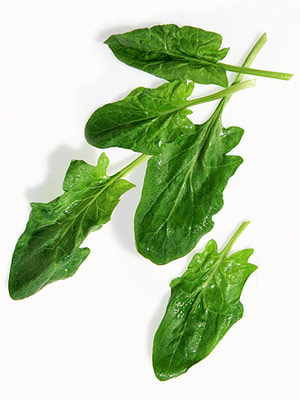 Spinach