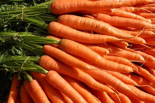 Carrots