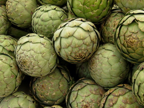 Artichokes