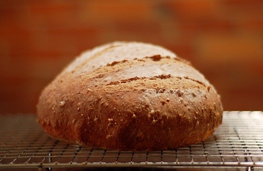 Multigrain Breads or Cereals