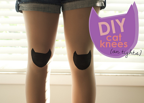 Cat Knee Pads