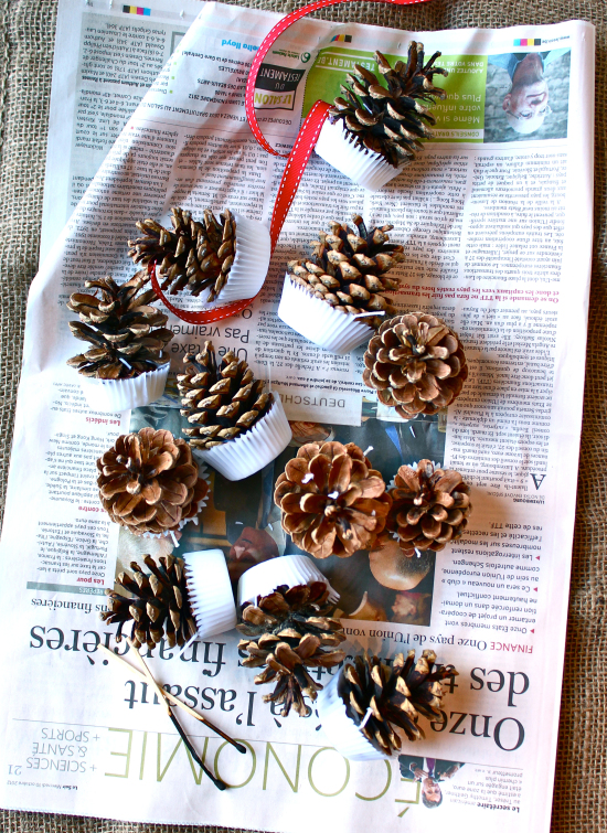 Pine Cone Fire Starters