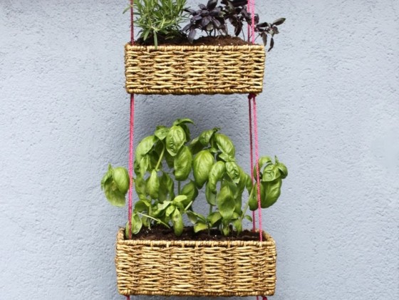 Hanging Planters