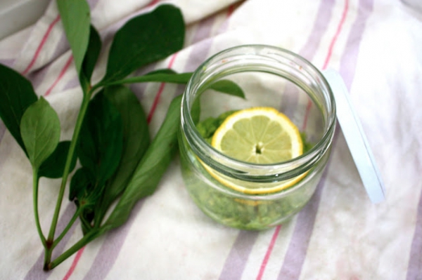 Summer Avocado Mask