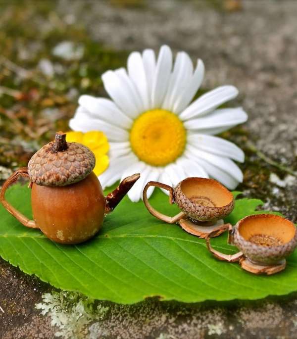 Acorn Tea Set