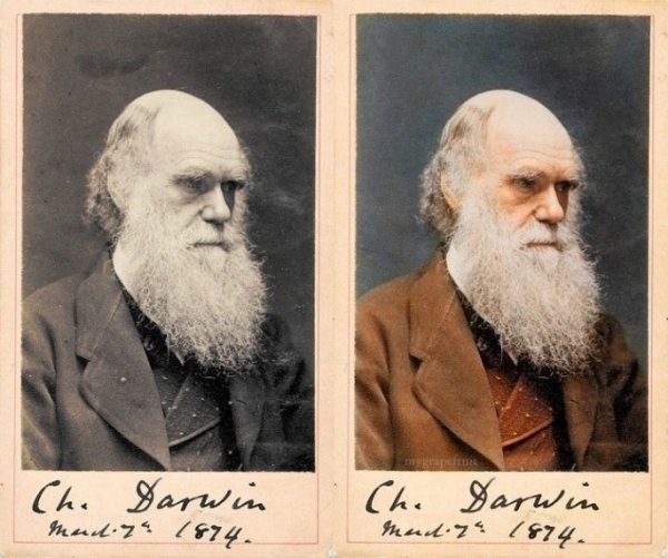 Charles Darwin in 1874