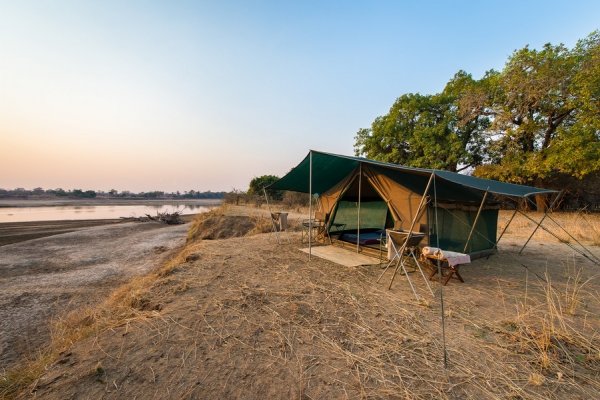 Camp in the Bush