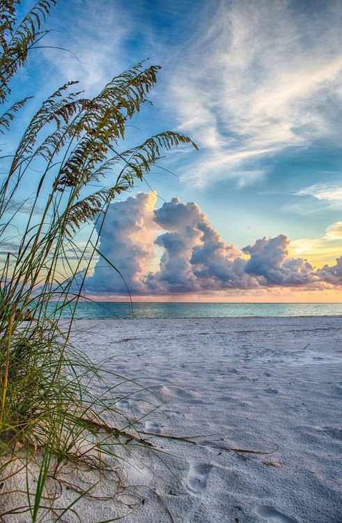 sky,nature,shore,sea,beach,