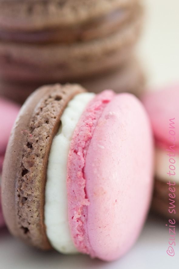 Neapolitan Macarons