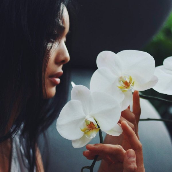 flower, white, plant, painting, yellow,