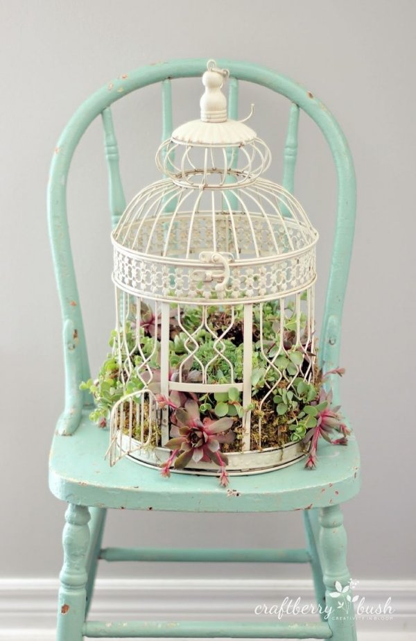 Bird Cage Garden