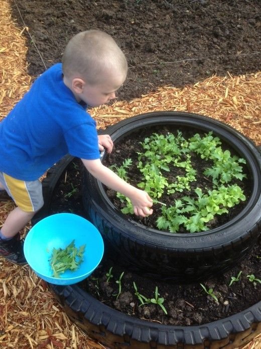 Build a Raised Garden Bed