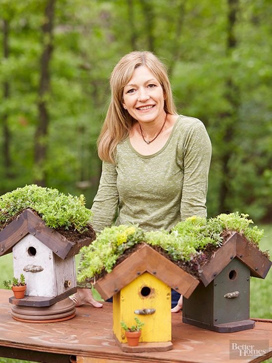 Green Roof Birdhouse