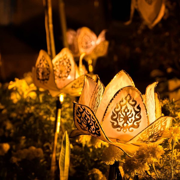 yellow, lighting, still life photography, flower, computer wallpaper,