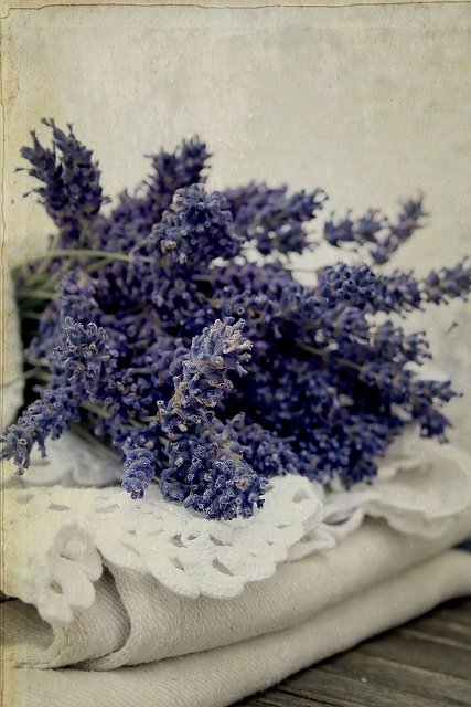 Lavender