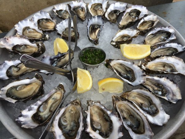 Oysters with Dry Stout