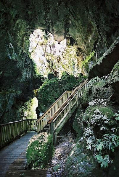 Waitomo Caves