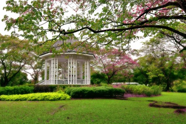 Singapore Botanic Gardens, Singapore