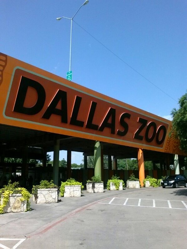 Dallas Zoo