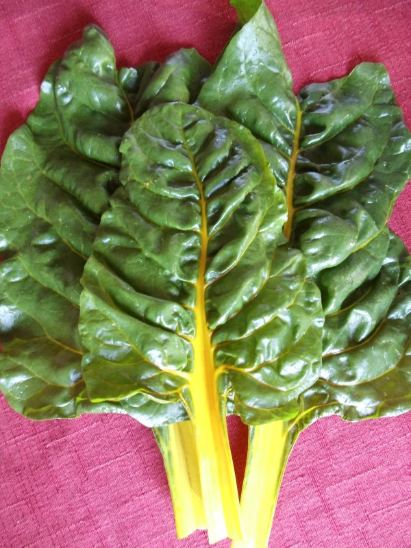 food,vegetable,produce,chard,leaf vegetable,