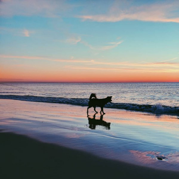 sea, body of water, sky, ocean, horizon,