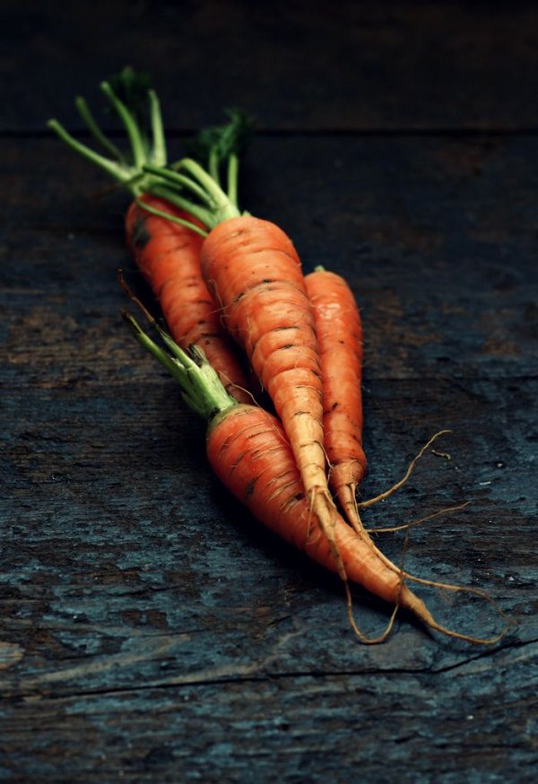 Carrot