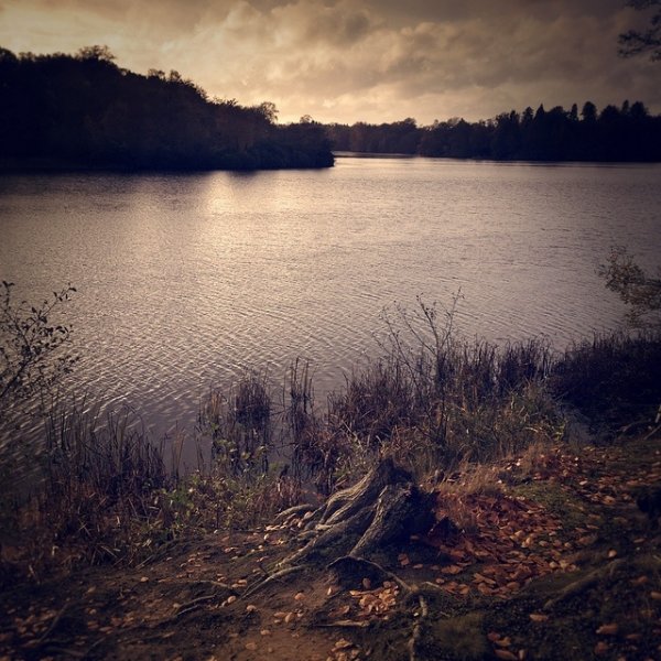 Virginia Water, Surrey