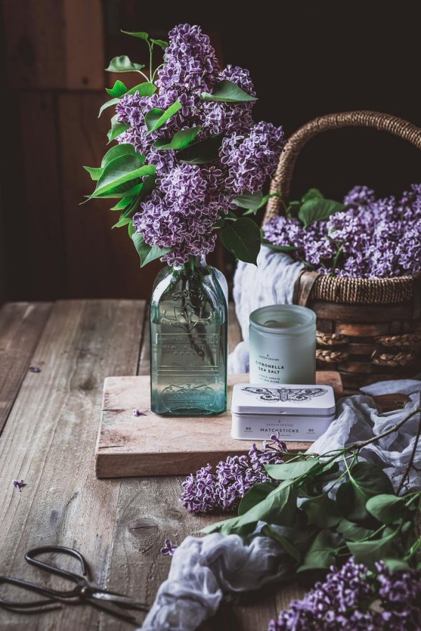 Purple, Flower, Lilac, Lavender, Still life,