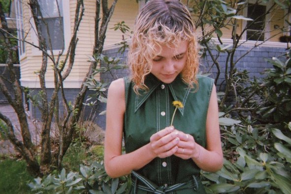 tree, plant, spring, flower,