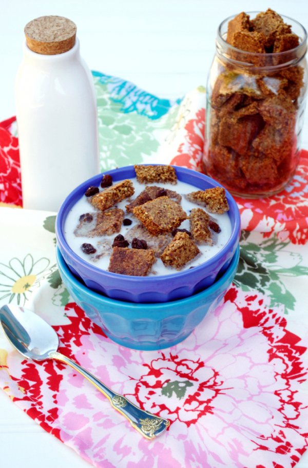 Grain-Free Raisin Bran Cereal