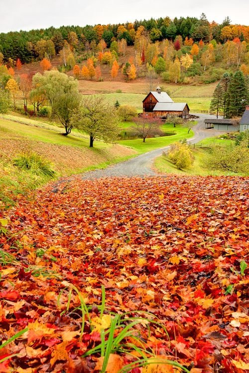 Sleepy Hollow Farm