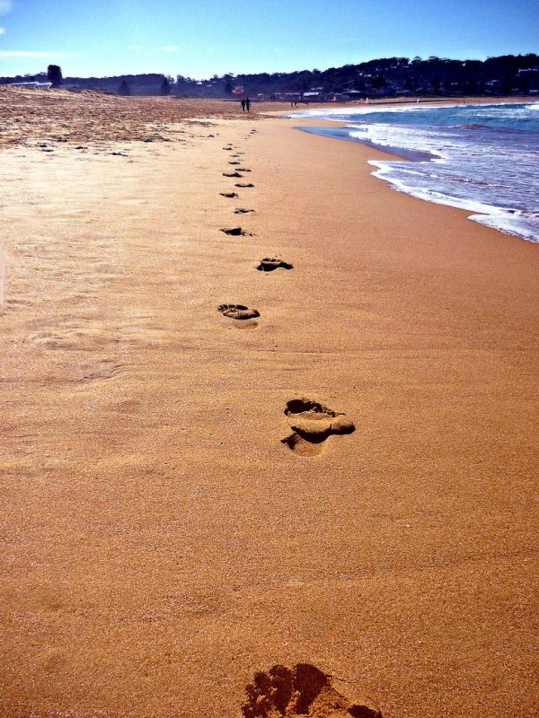 Footprints in the Sand