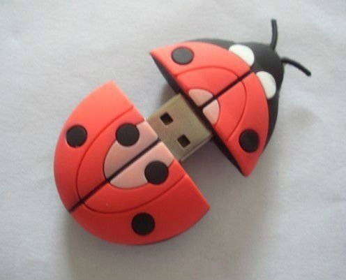 Ladybug