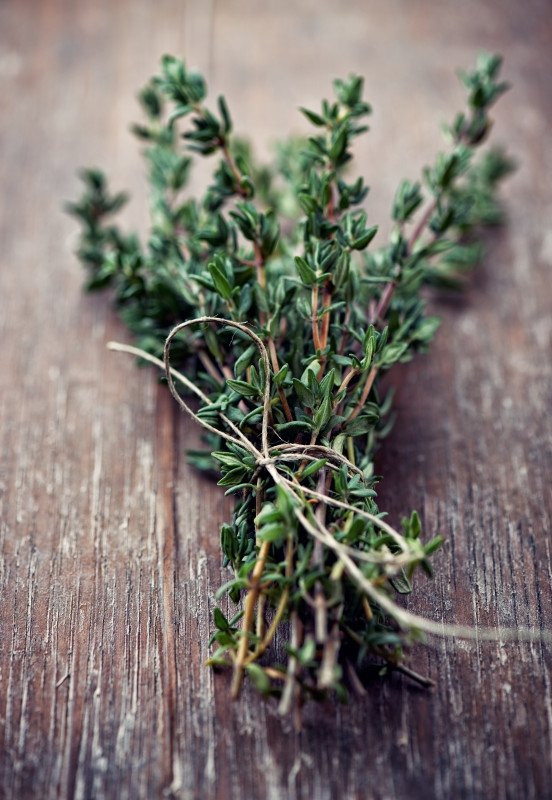 Thyme Oil