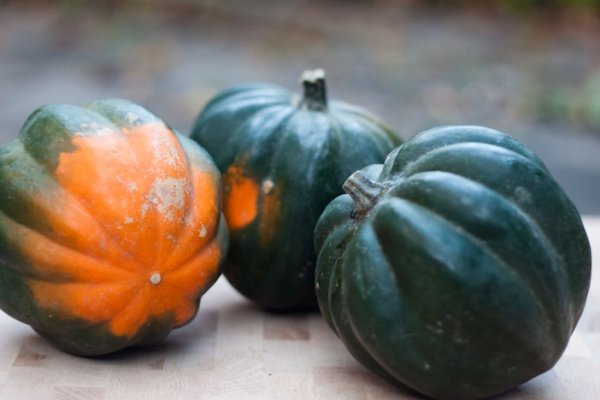 Acorn Squash