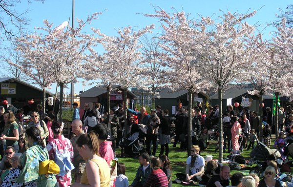 Copenhagen Sakura Festival Copenhagen, Denmark