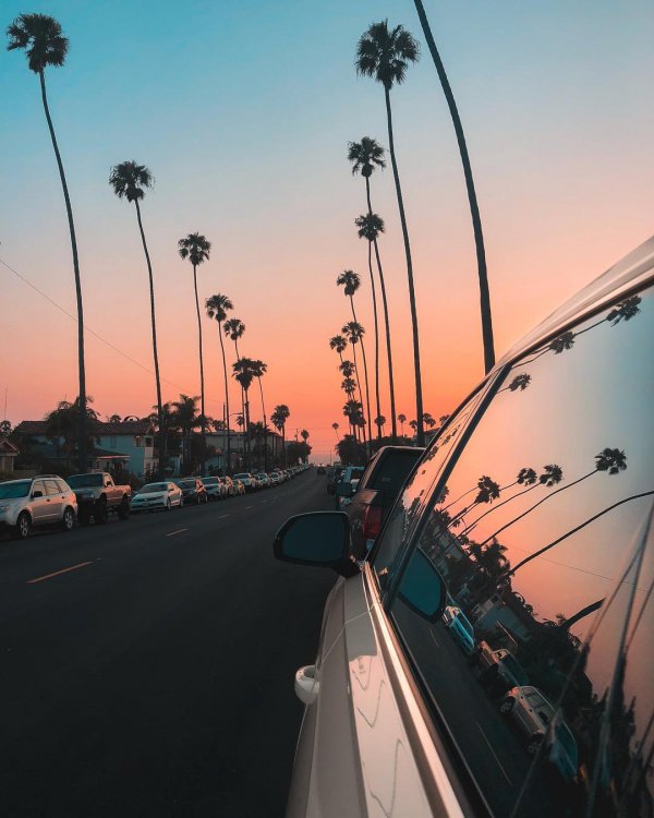 Sky, Morning, Sunset, Tree, Road,