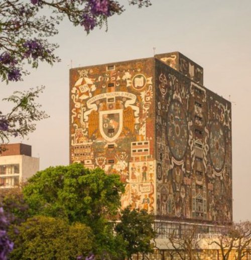 purple, flower, building, wall, historic site,