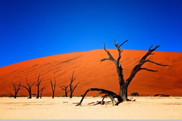 Namib-Naukluft Park in Namibia