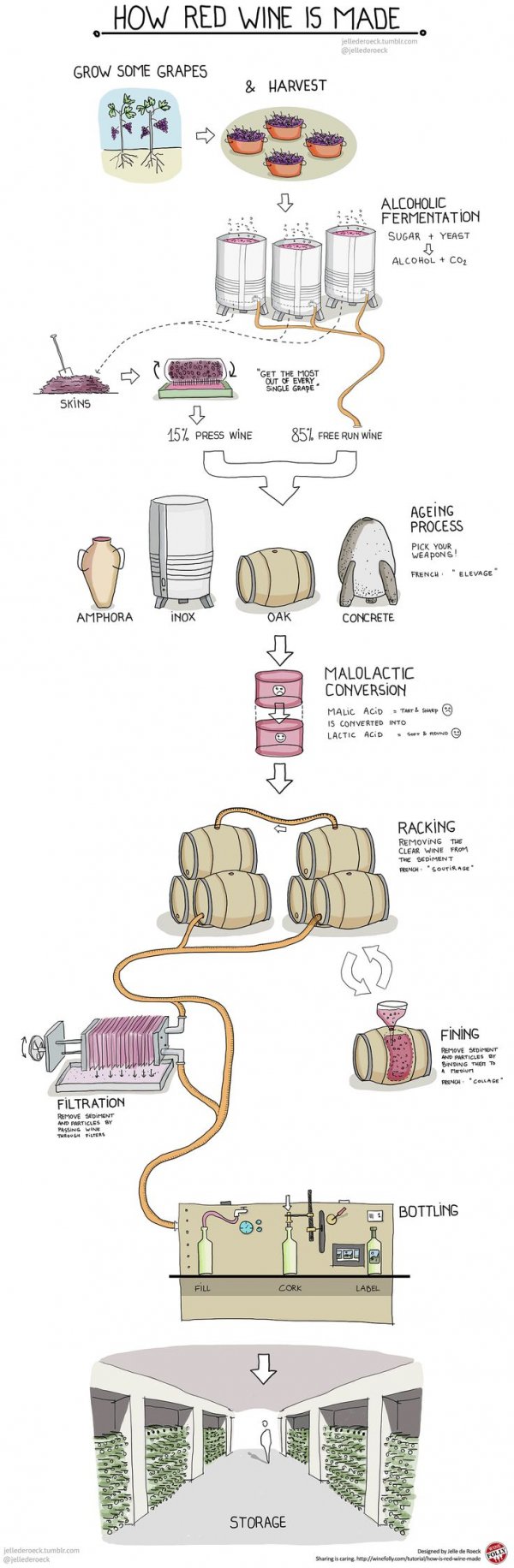 How Red Wine is Made