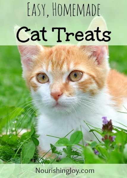 Easy, Natural, Homemade Cat Treats