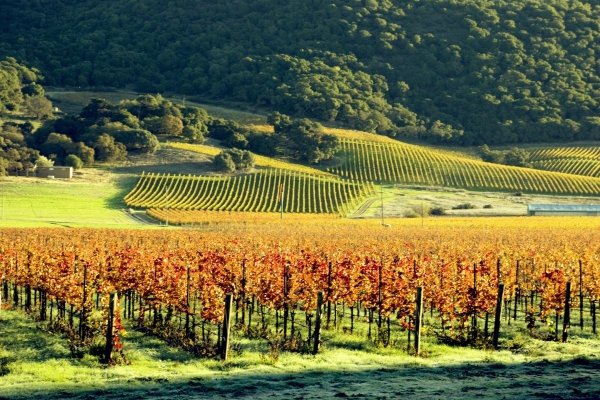 Sonoma County – California