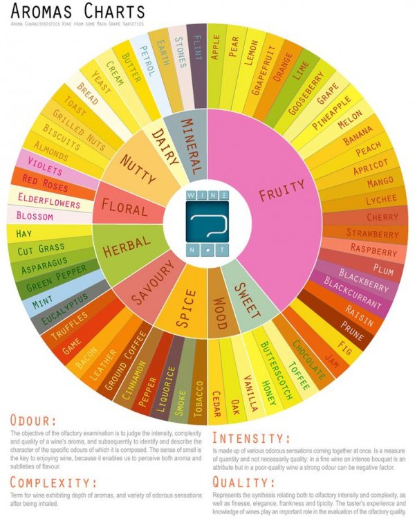 Aromas Wheel for Wine