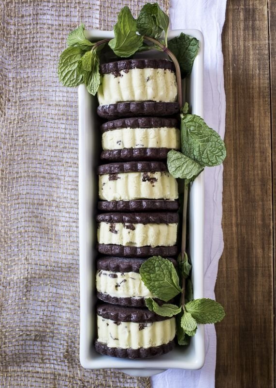 Mint Chocolate Chip Ice Cream Sandwich