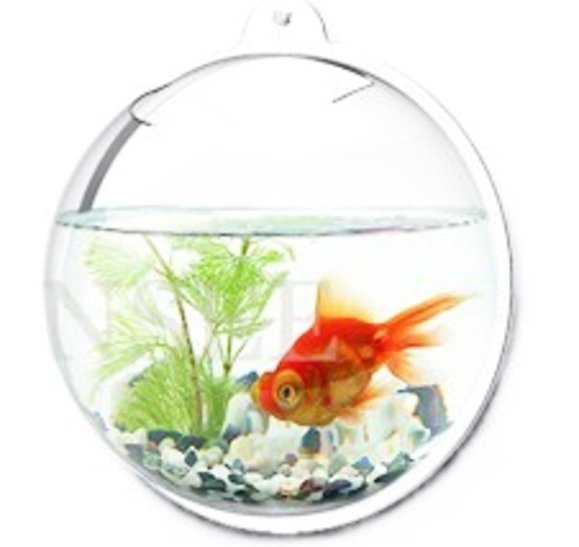 Wall Mount Hanging Beta Fish Bubble Aquarium